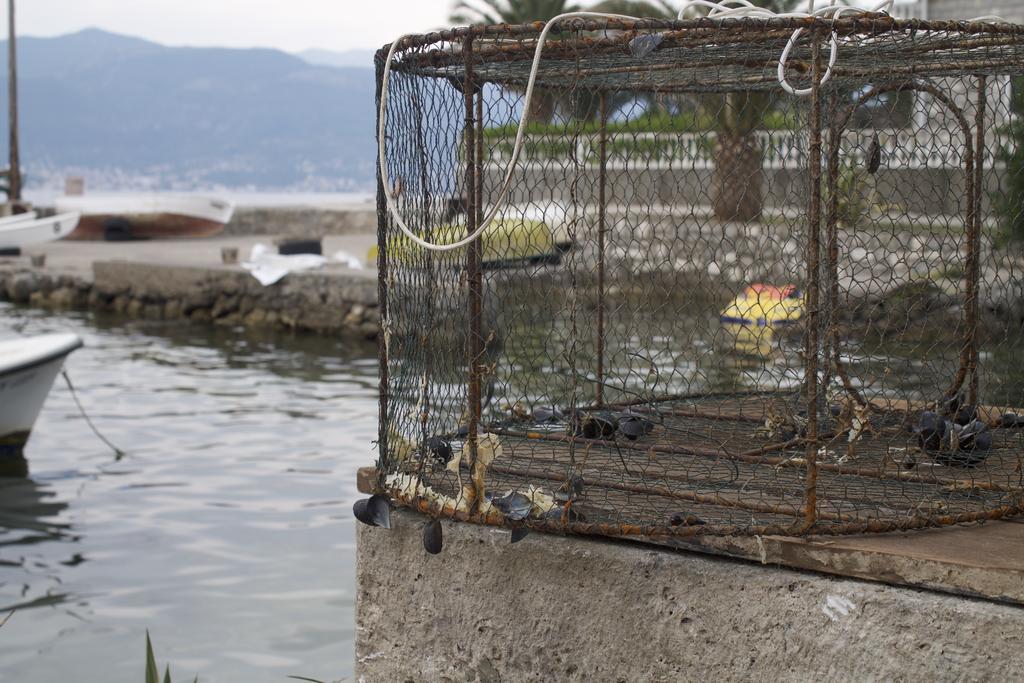 Leut Stone Residence Tivat Bagian luar foto